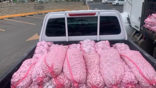 bulto x 45 kg de piedra decorativa para jardín