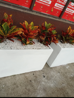 6 matera jardinera en cemento de 100x50x30 lisa